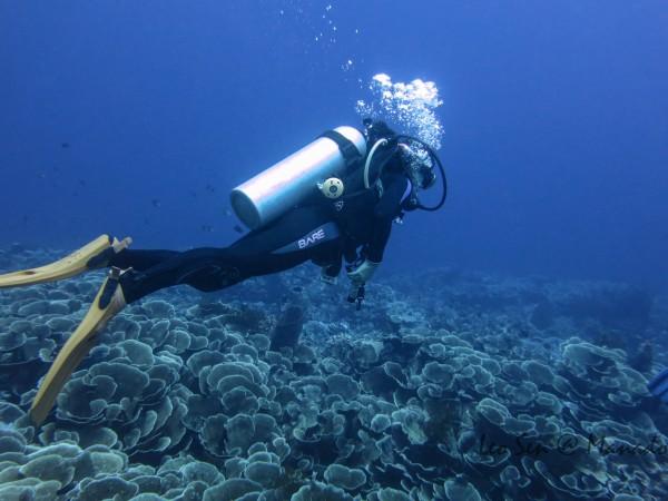 【新春走基层】“饺”动永济  喜迎春节